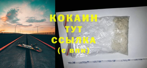 стаф Новодвинск
