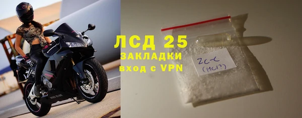 стаф Новодвинск
