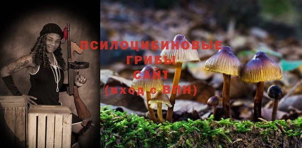 прущие крисы Нея
