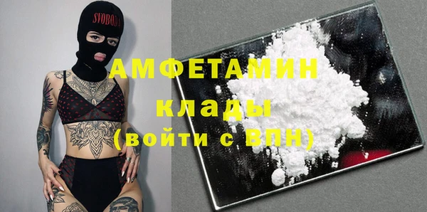 стаф Новодвинск