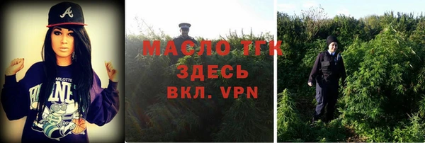 стаф Новодвинск